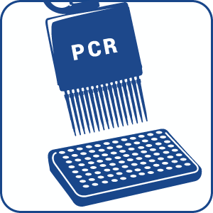 384-Well PCR Plates