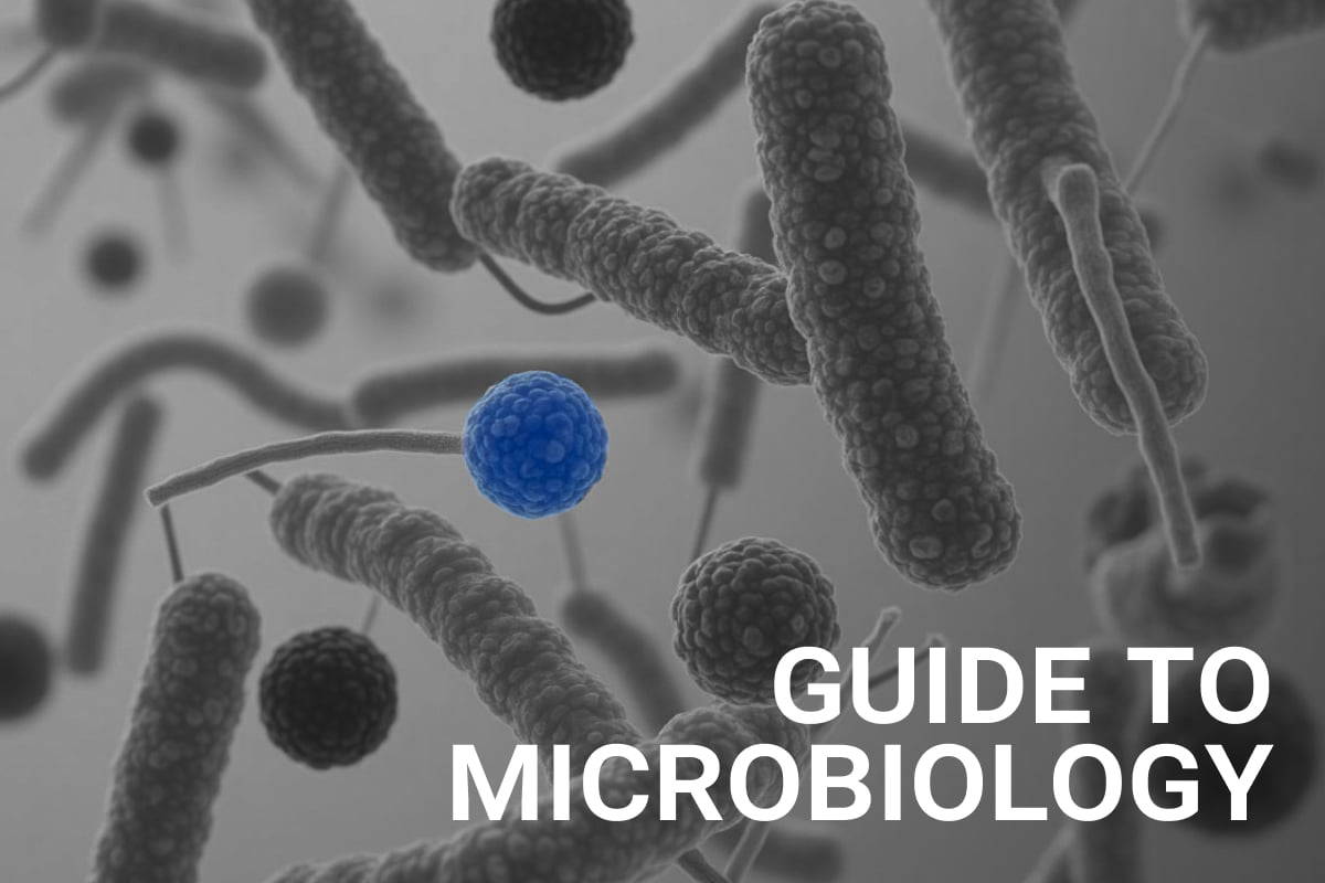 Digital illustration of various rod-shaped and spherical microorganisms under a microscope, with one blue-colored spherical microbe highlighted in contrast against a grayscale background. The text 